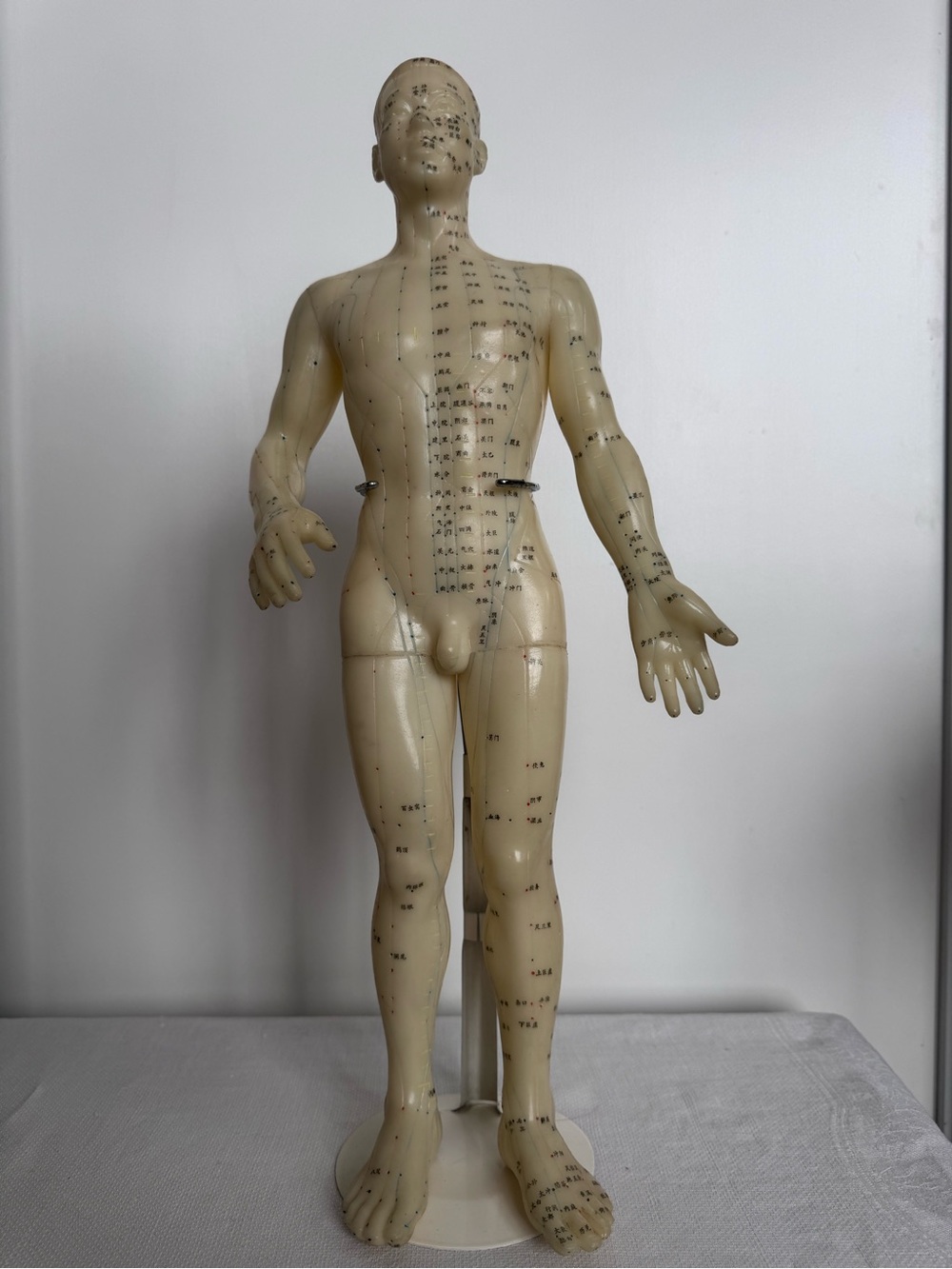 Vintage Acupuncture Model Nude Male Rubber Dummy w Vintage Avon Book - Picture 2 of 12